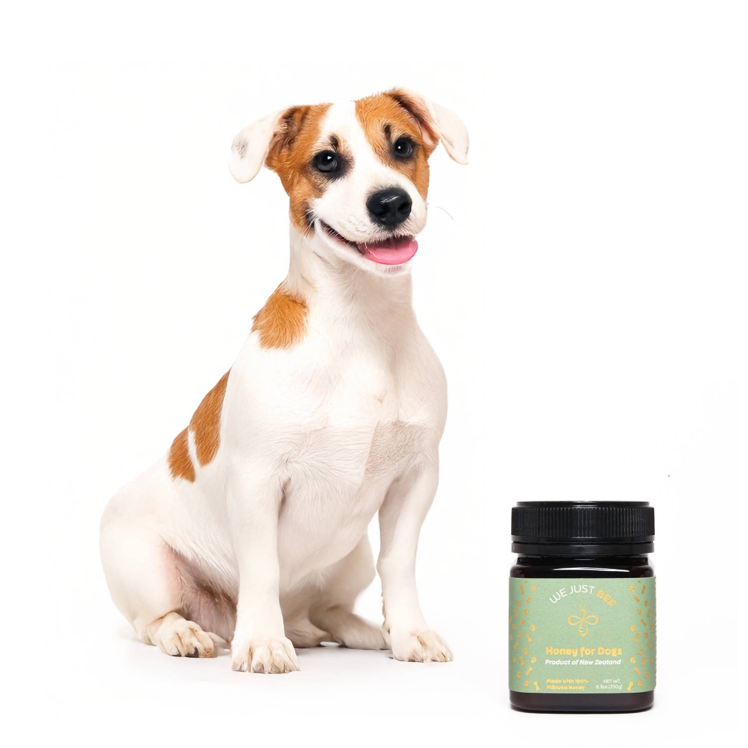 Honey For Dogs